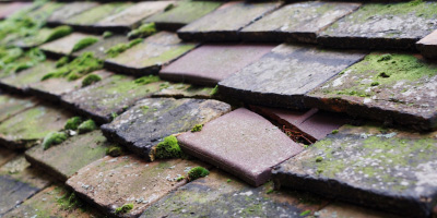 Camelford roof repair costs